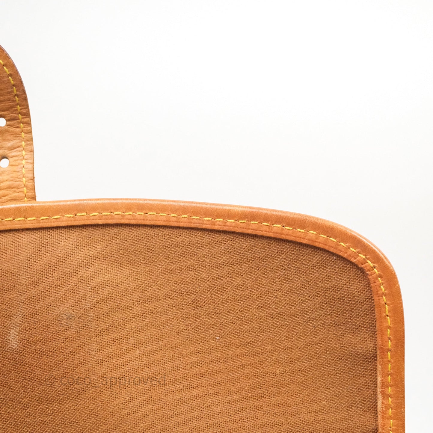 Louis Vuitton Vintage Diane Bag Monogram Canvas