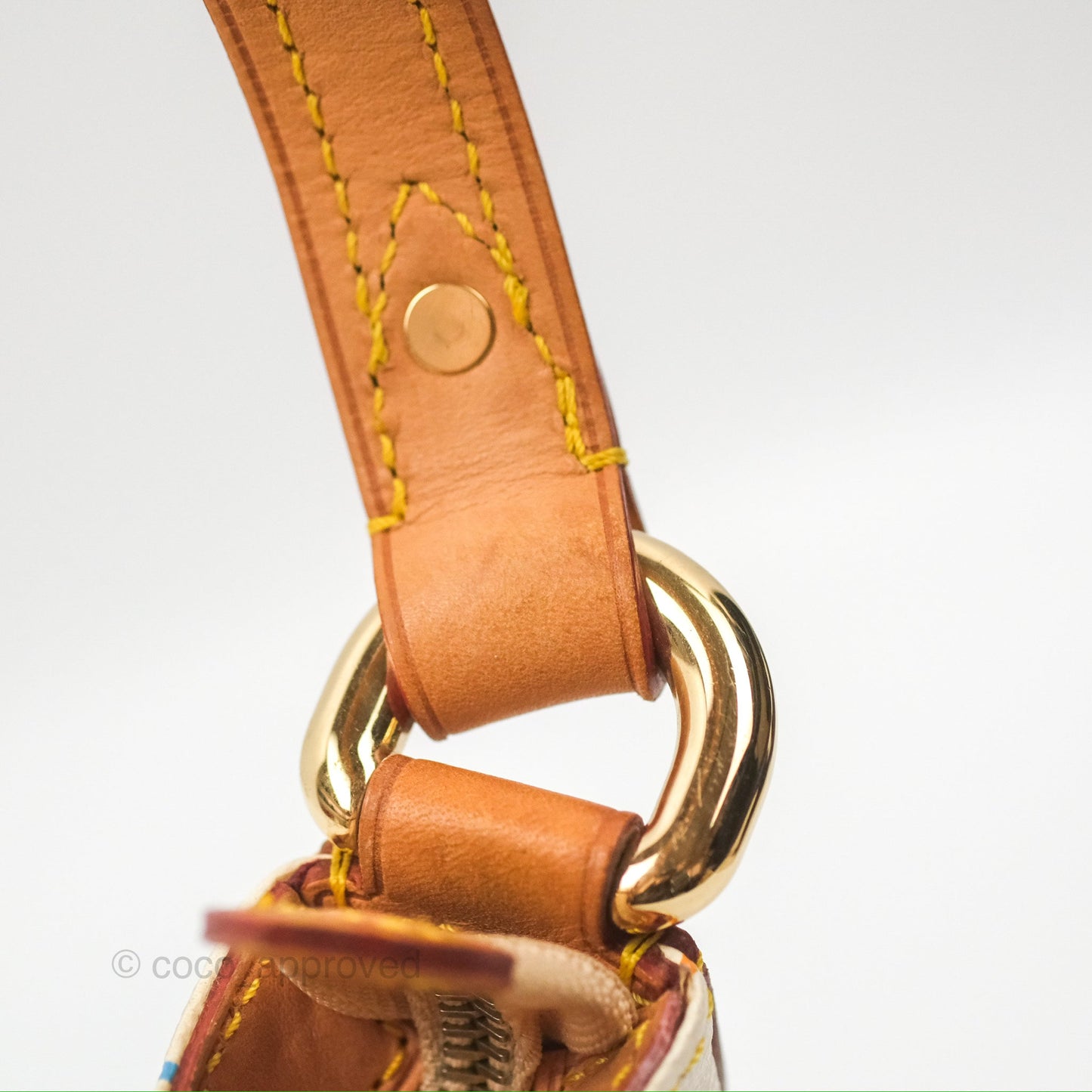 Louis Vuitton Eliza Handbag Monogram Multicolor Murakami