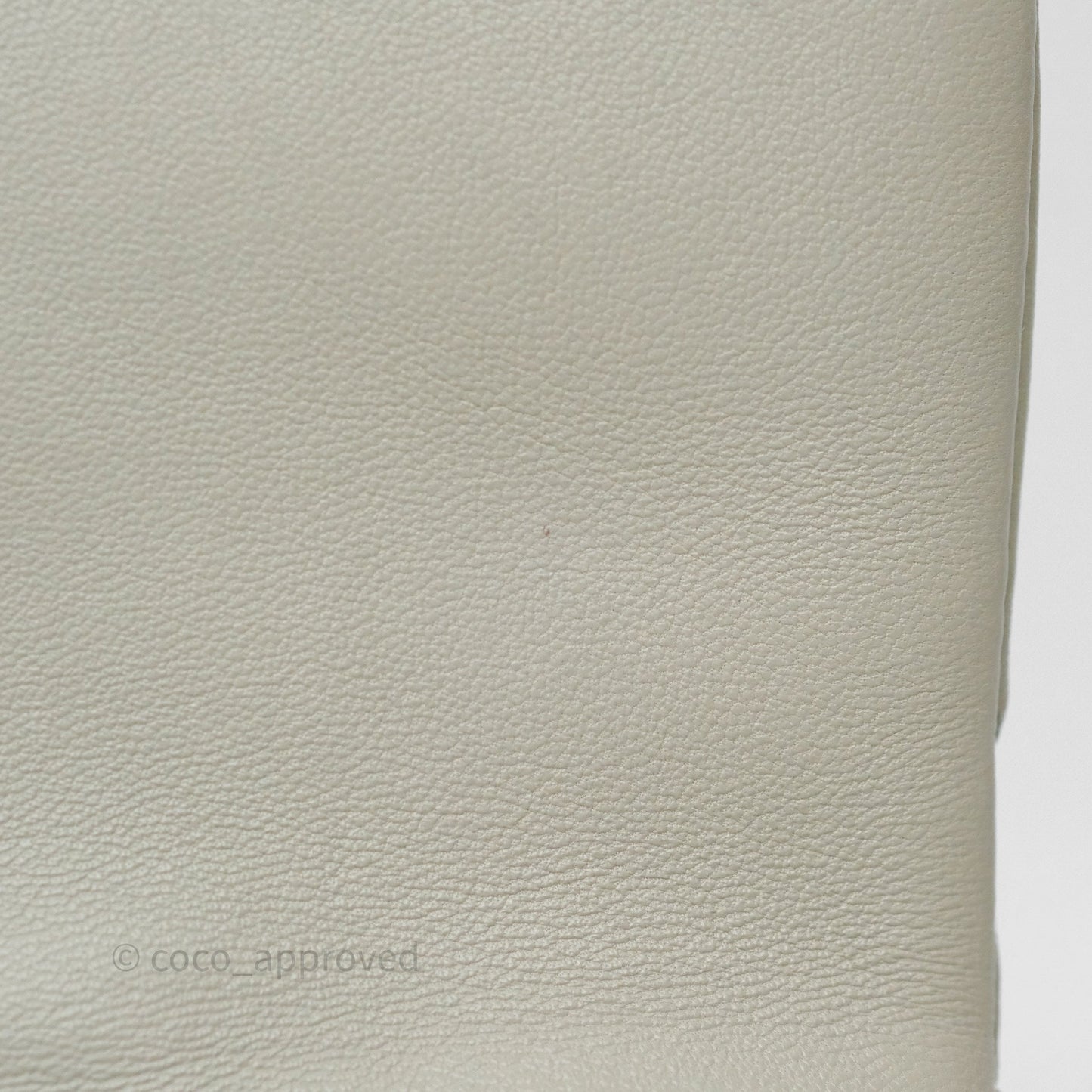 Chanel 19 Small Sage Grey Mixed Hardware