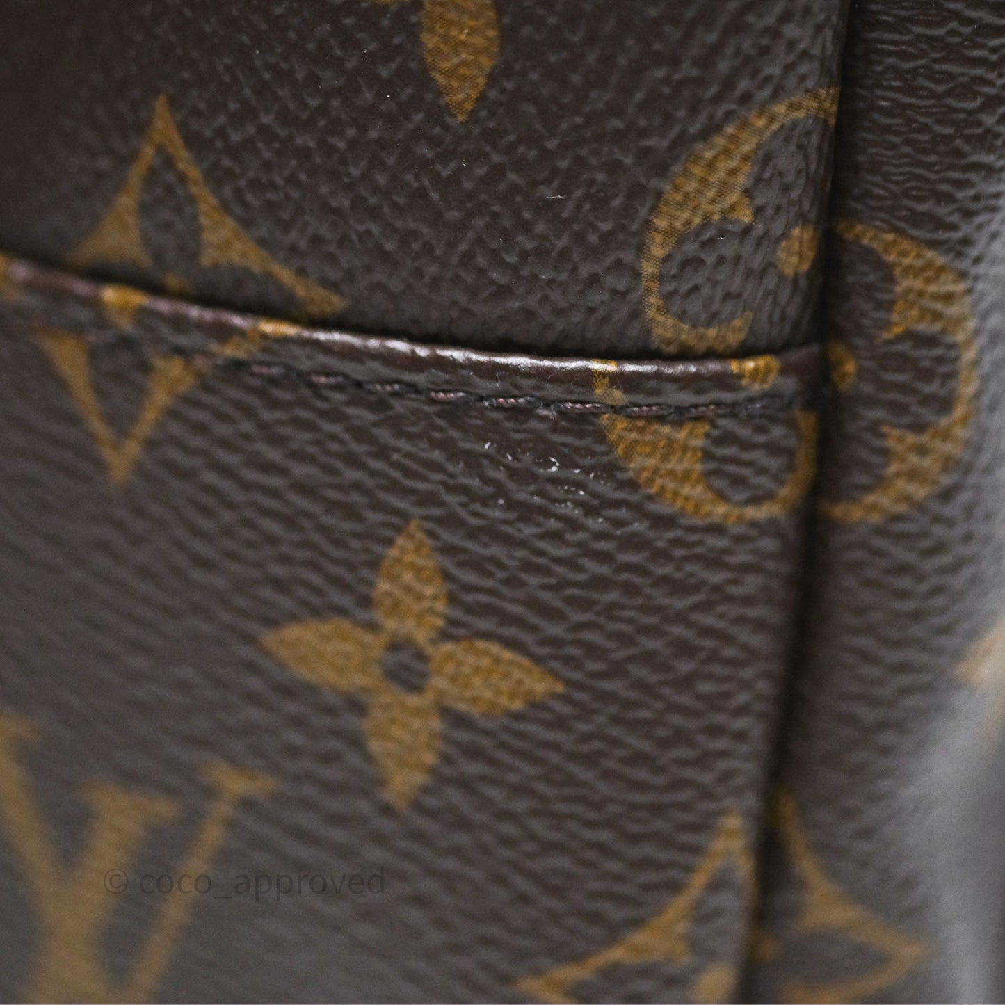 Louis Vuitton Monogram Mini Palm Springs Backpack⁣