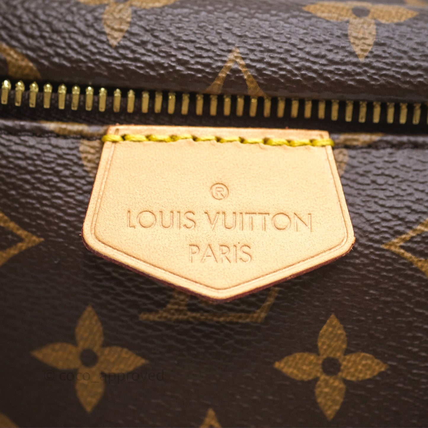 Louis Vuitton Bum Bag Monogram Canvas