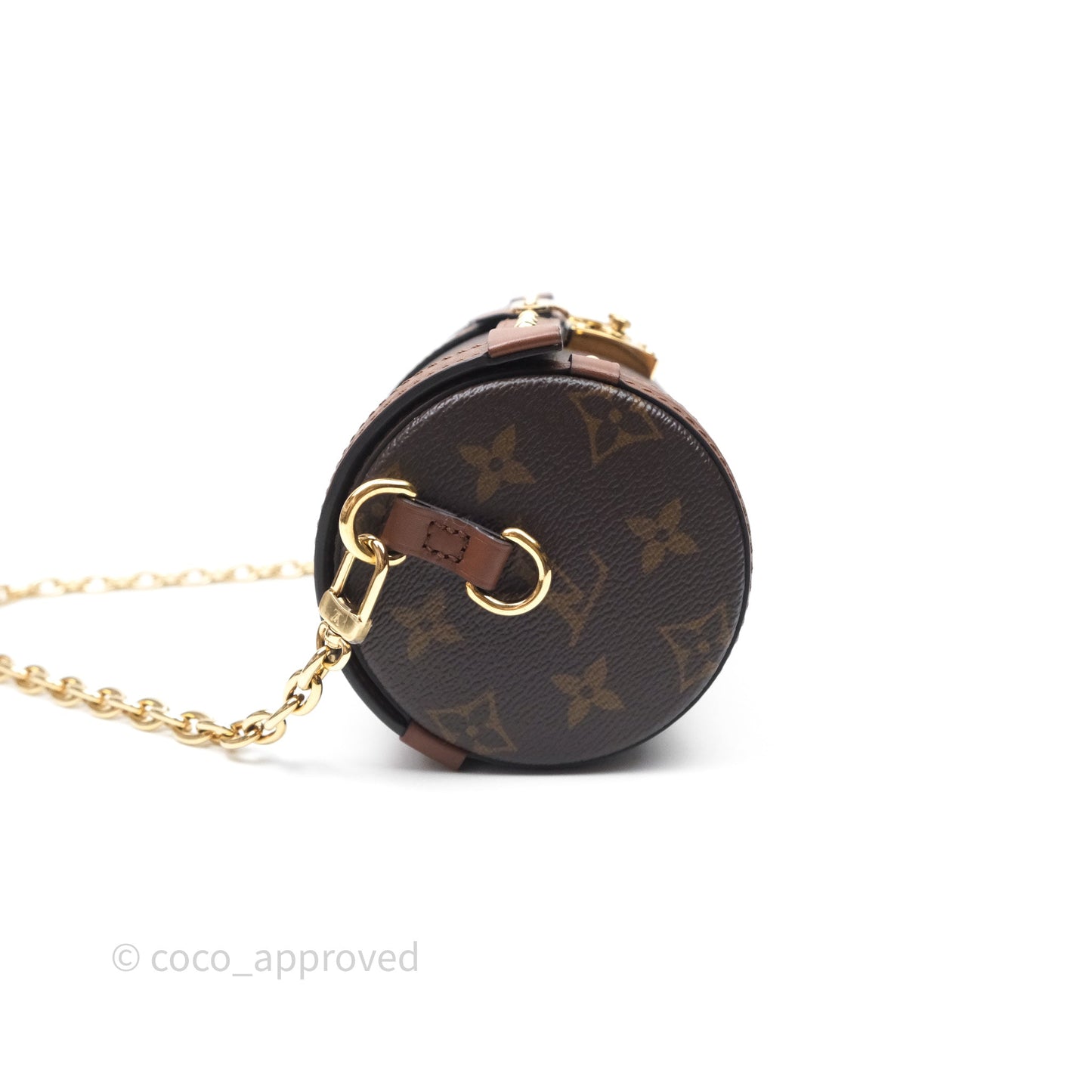 Louis Vuitton Papillon Trunk Monogram Coated Canvas