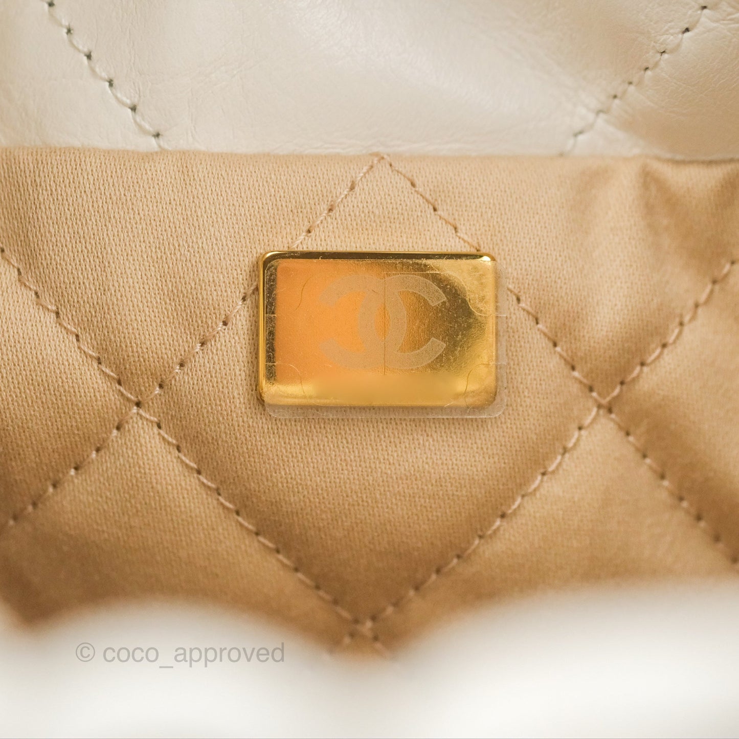 Chanel 22 Mini Bag White Crumpled Calfskin