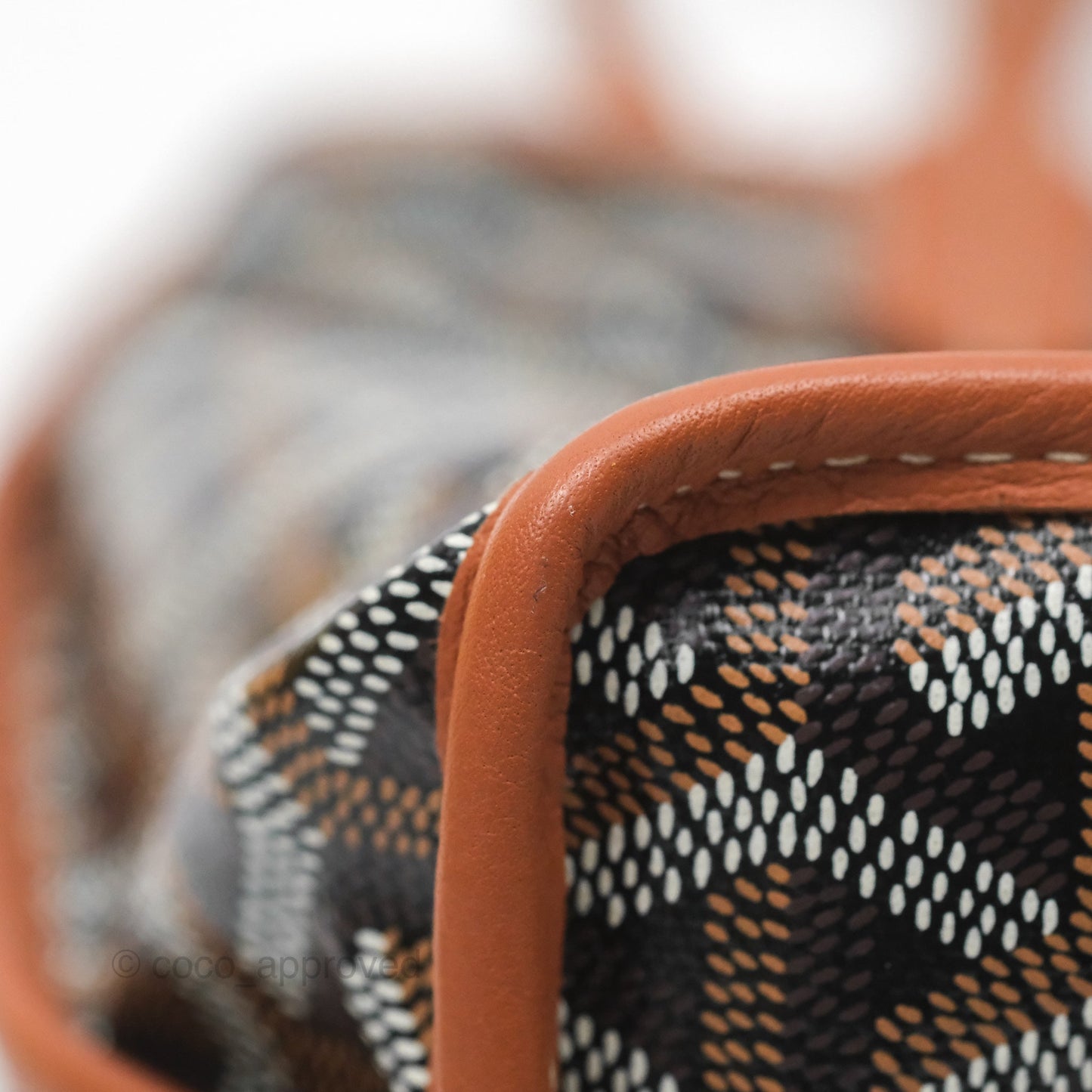Goyard Anjou Mini Bag Goyardine Canvas Black/ Tan