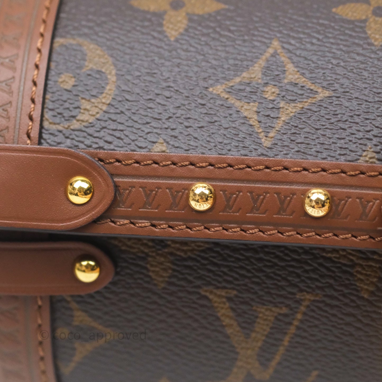 Louis Vuitton Papillon Trunk Monogram Coated Canvas