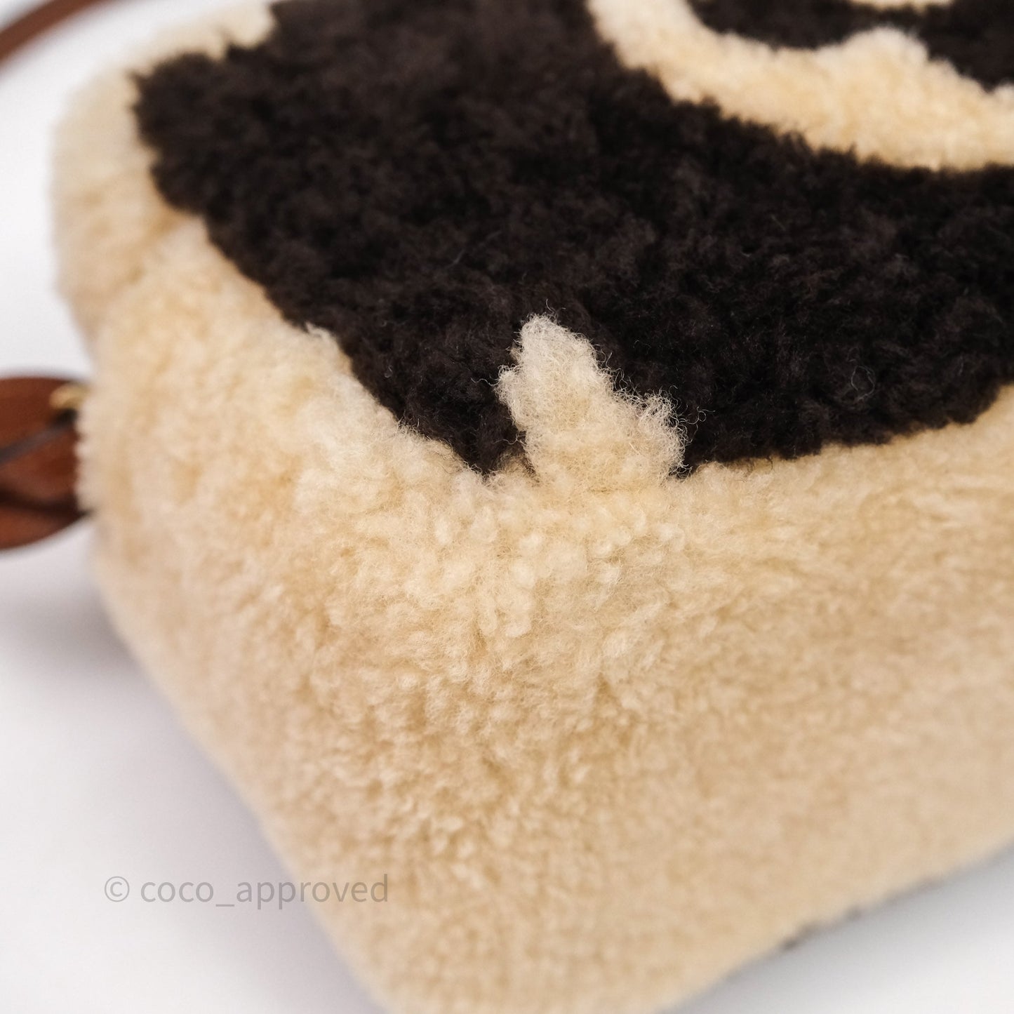 Louis Vuitton Teddy Beach Pouch Monogram