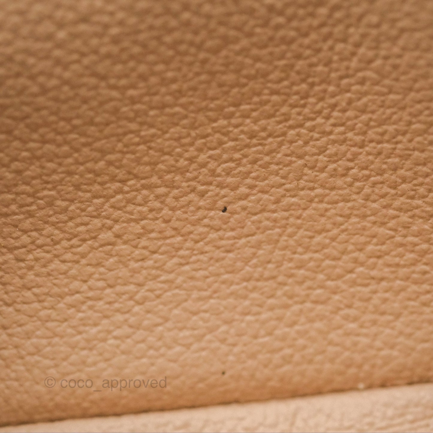 Louis Vuitton Nano Nice Monogram
