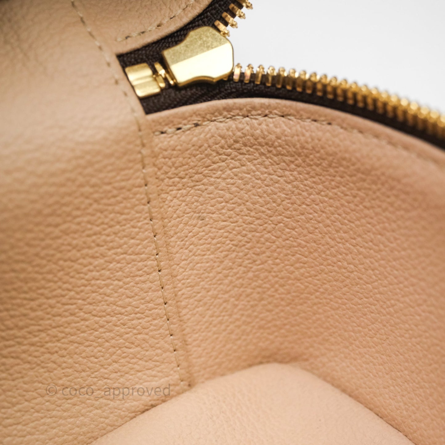 Louis Vuitton Nice Nano Monogram Canvas