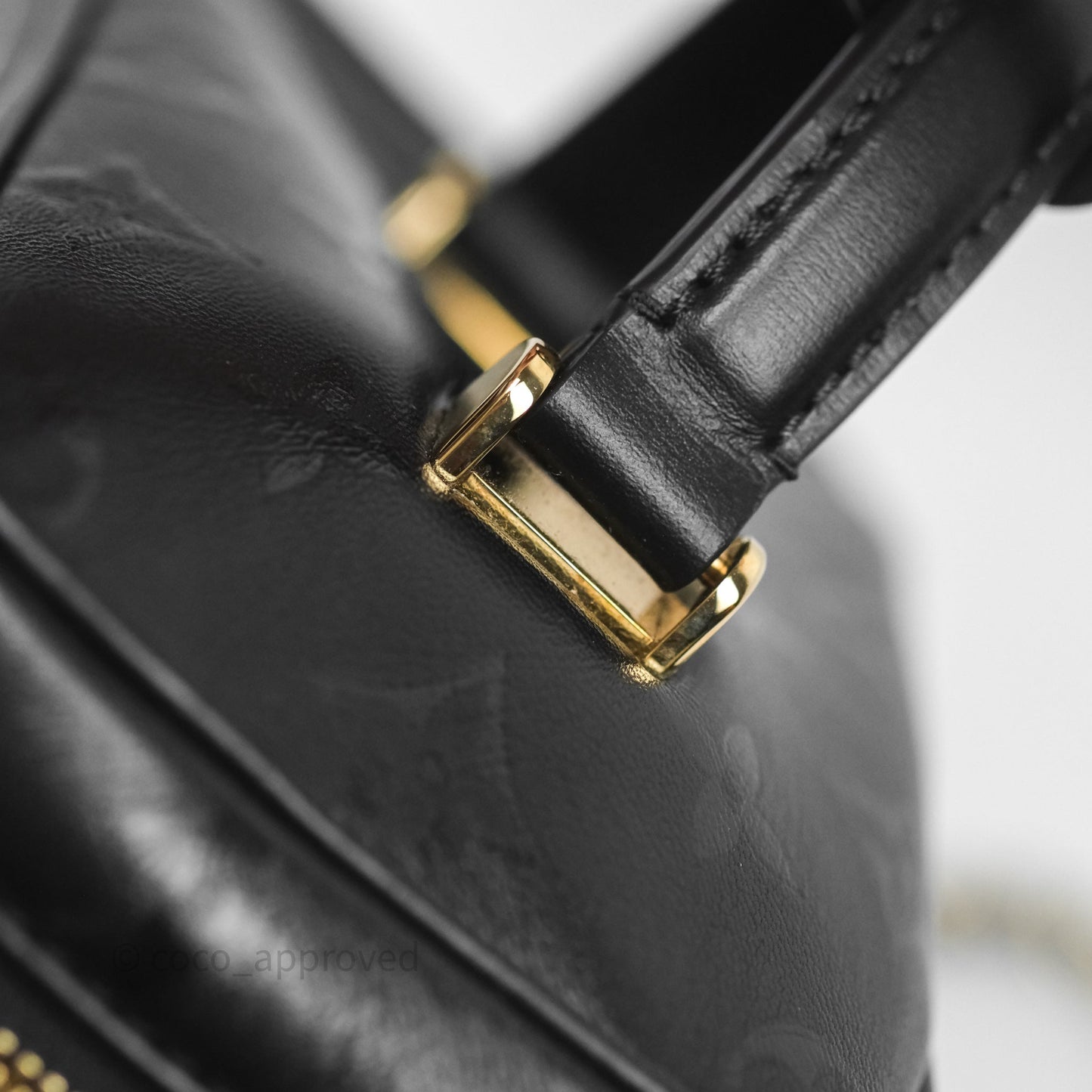 Louis Vuitton Vanity PM Monogram Ink Black