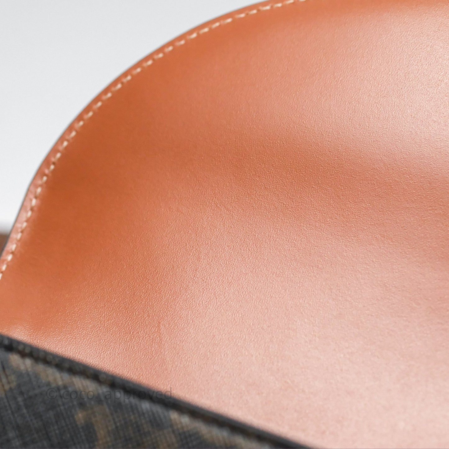 Celine Besace Cuir Bag Triomphe Canvas Tan
