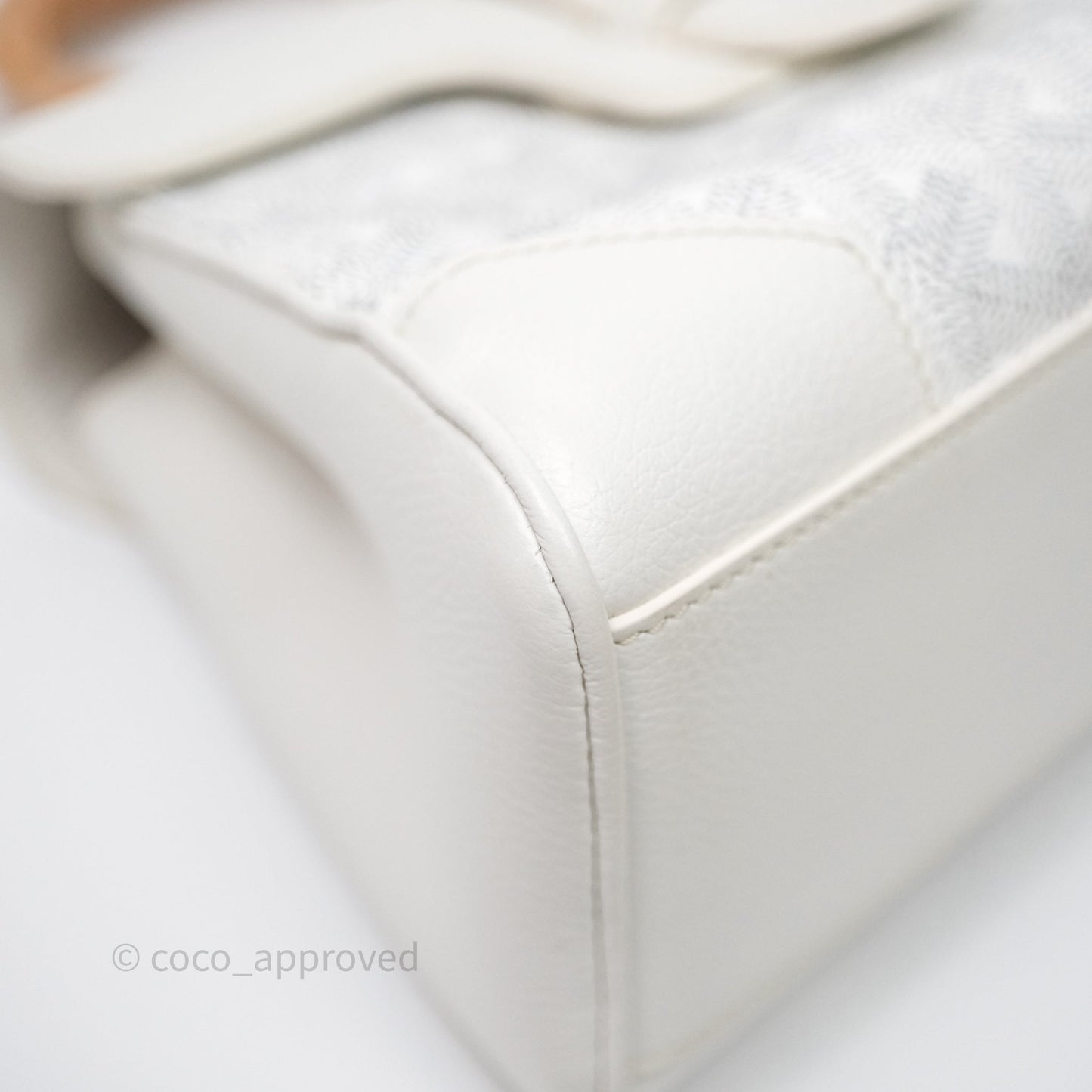 Goyard Saïgon Mini Bag Chevroches Calfskin White Silver Hardware