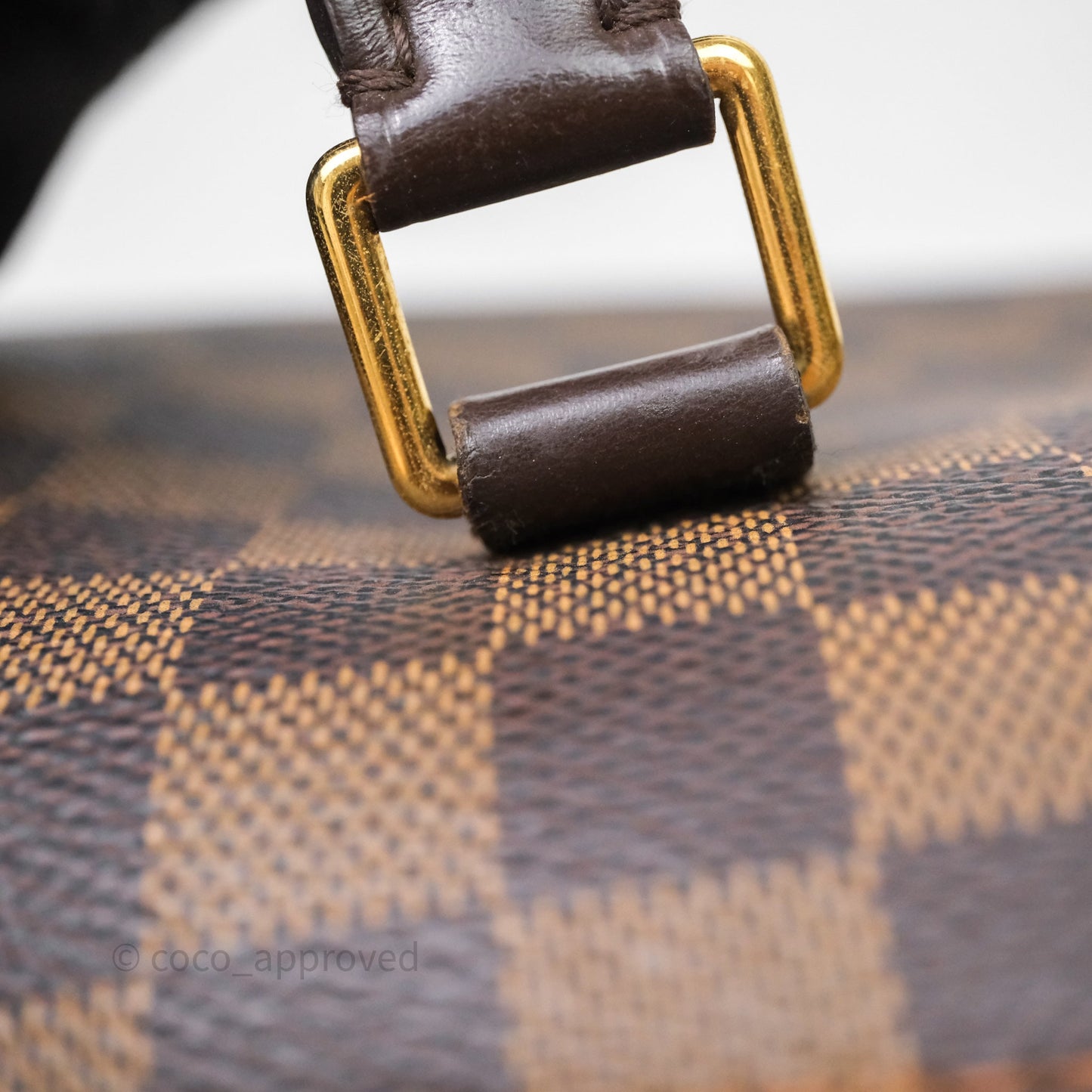 Louis Vuitton Ribera Damier Ebene Canvas
