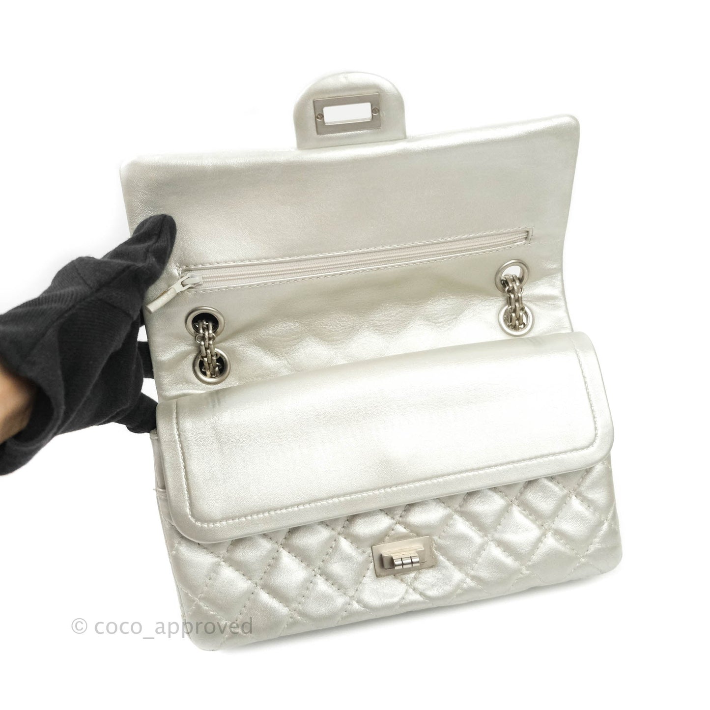 Chanel Reissue Quilted Aged Calfskin Metallic Silver Matte Silver Hardware 225