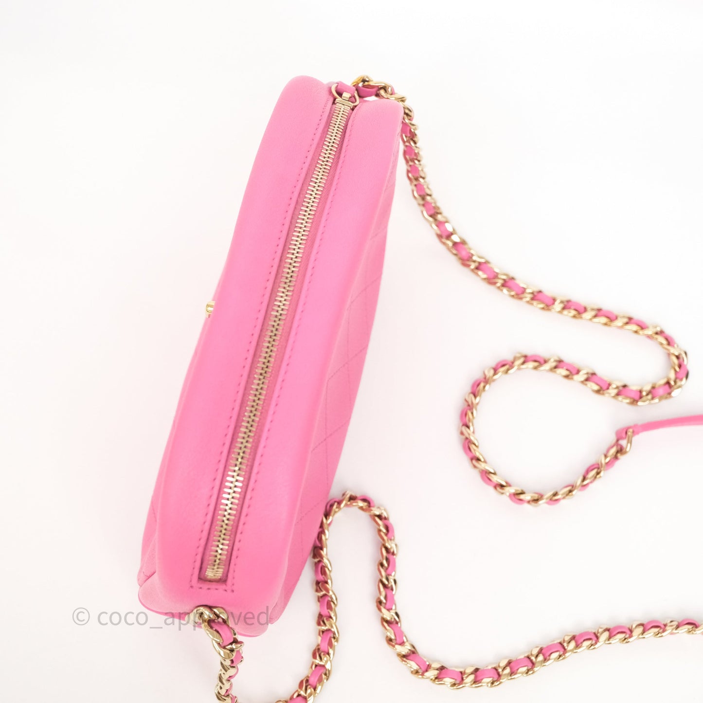 Chanel Camera Bag Pink Calfskin Aged Gold Hardware