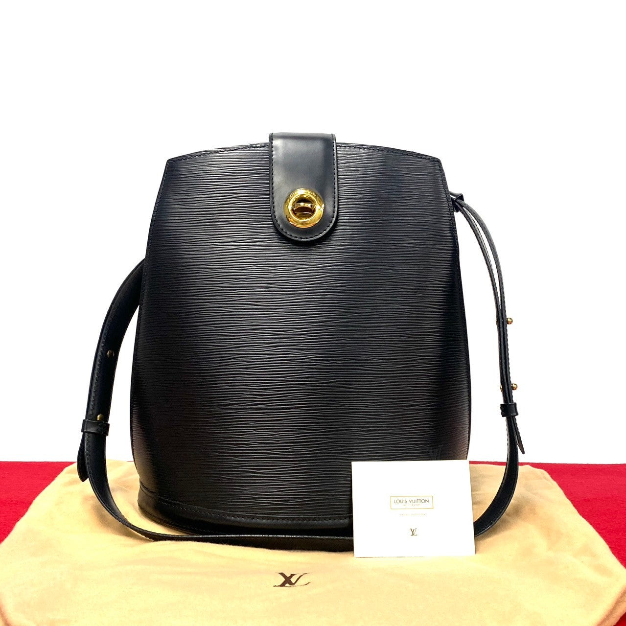 LOUIS VUITTON Shoulder Bag leather black Epi Cluny