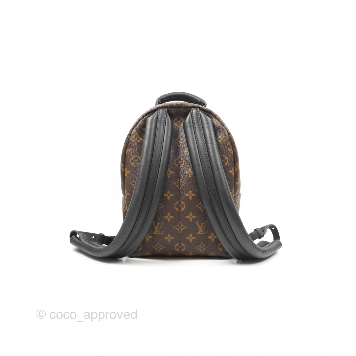 Louis Vuitton Palm Springs Backpack⁣ Monogram PM