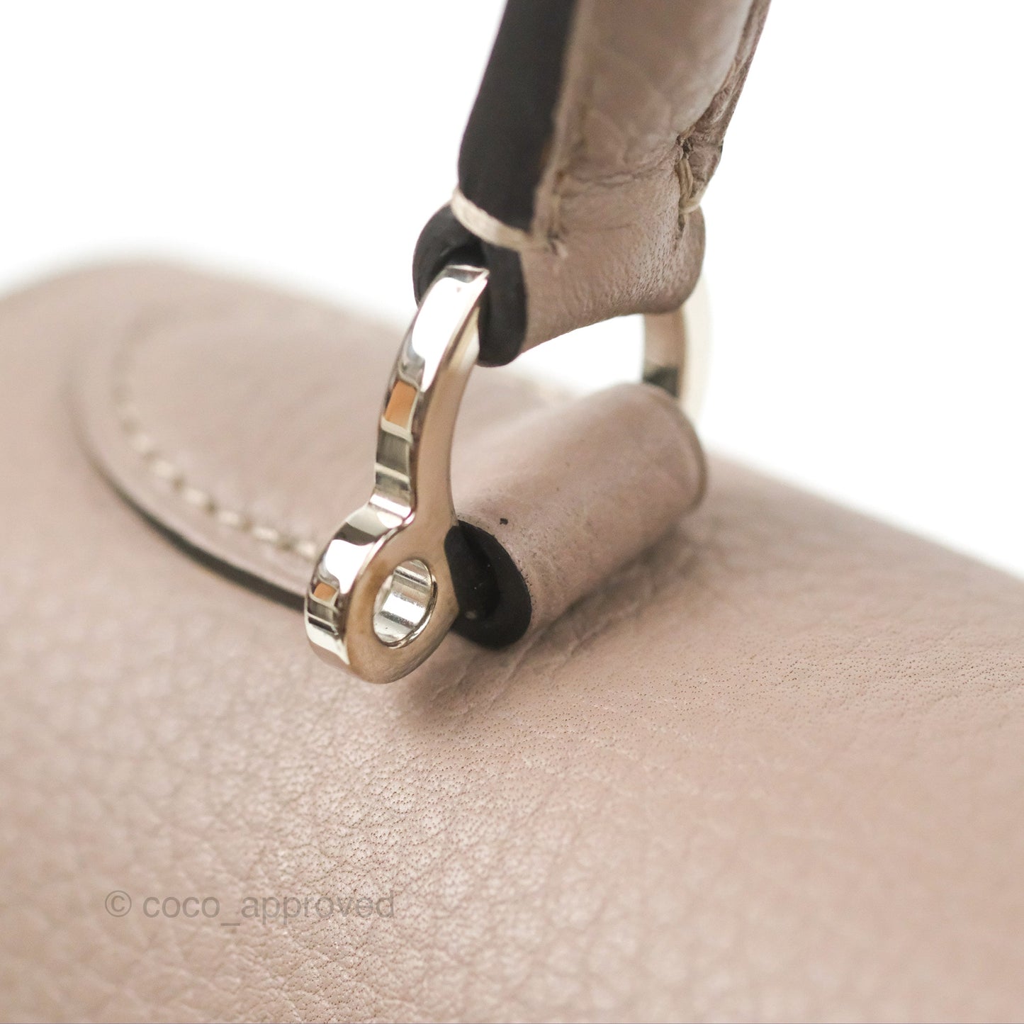 Moynat Réjane PM bag Tourterelle Grained Blush Leather Silver Hardware