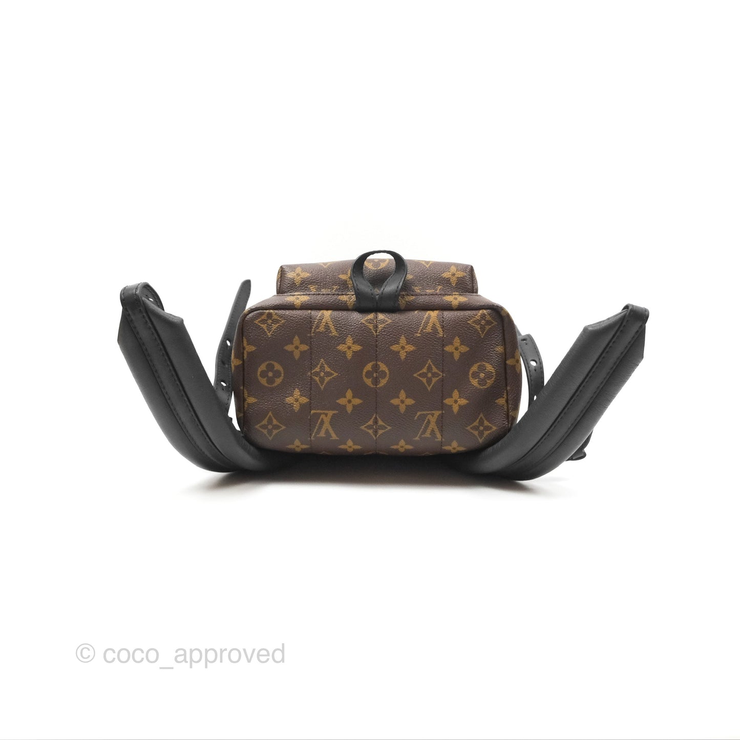 Louis Vuitton Palm Springs Backpack⁣ Monogram PM