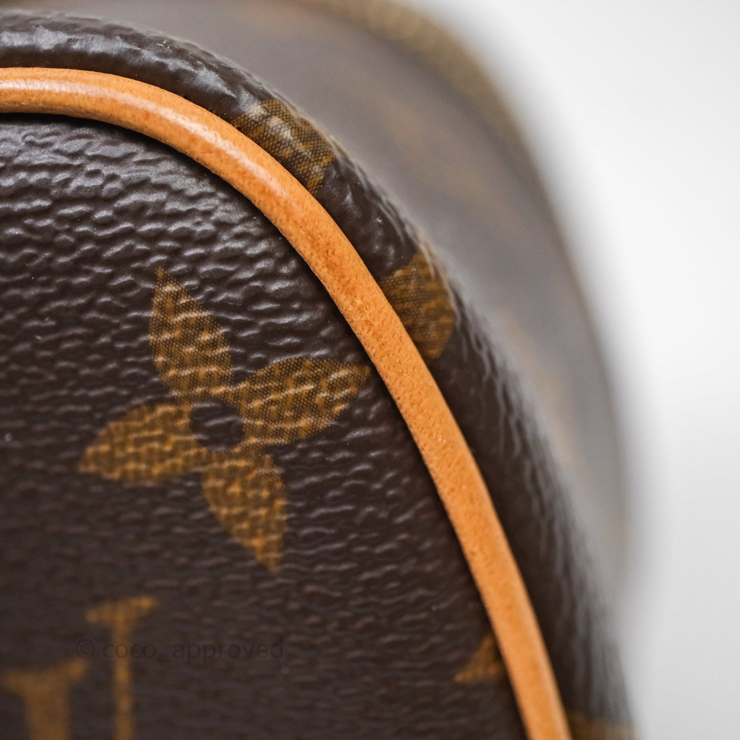 Louis Vuitton Nice Nano Monogram Canvas