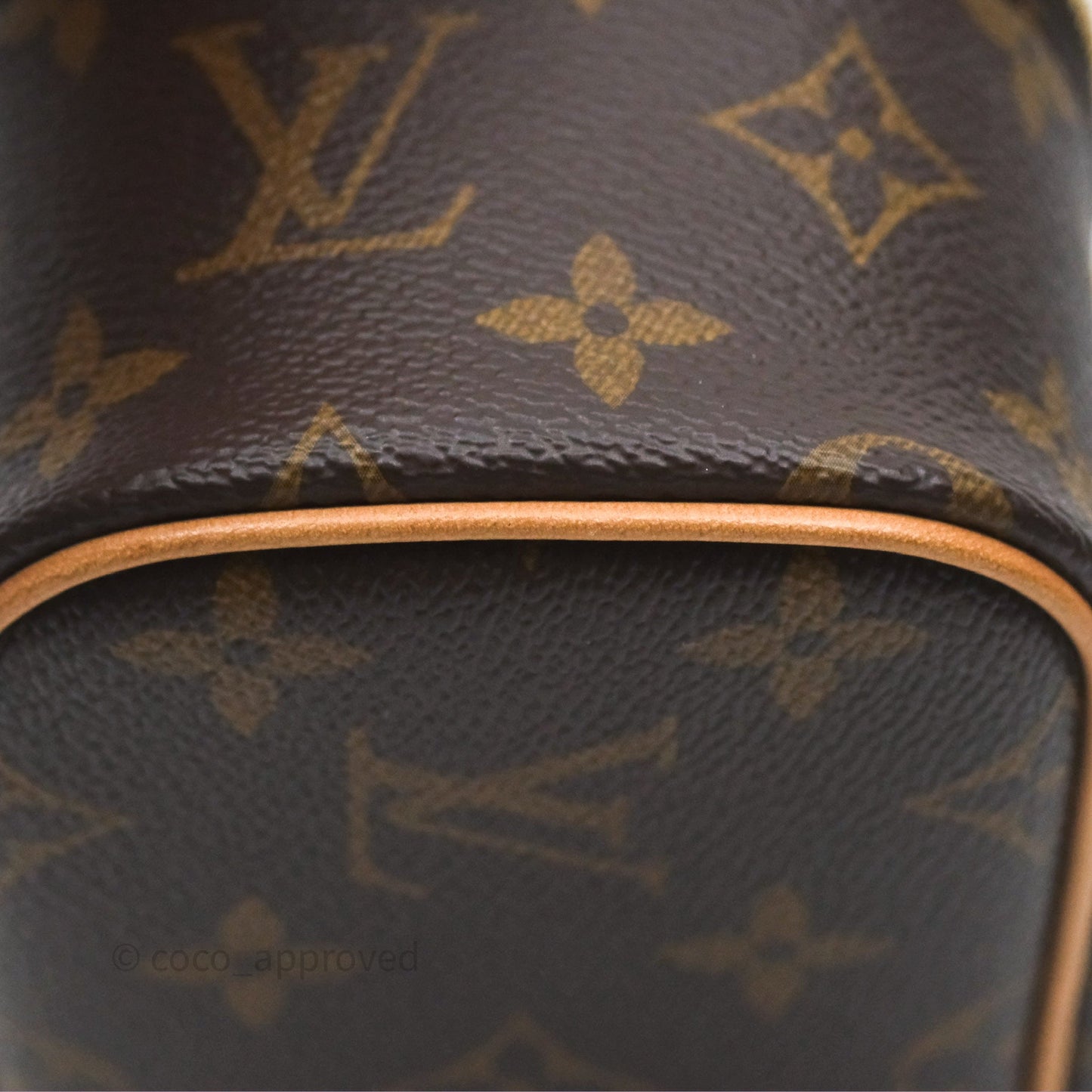 Louis Vuitton Monogram Nice Nano