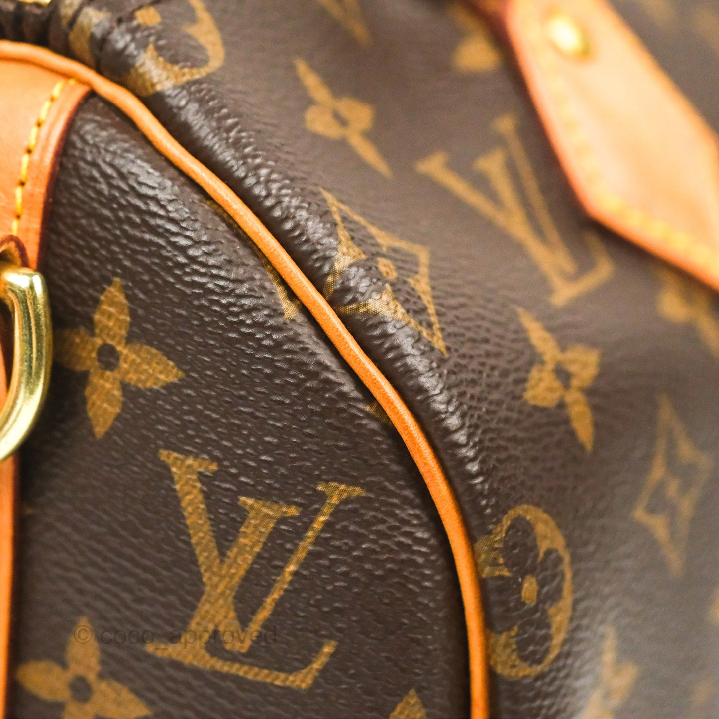 Louis Vuitton Speedy 25 Monogram Canvas