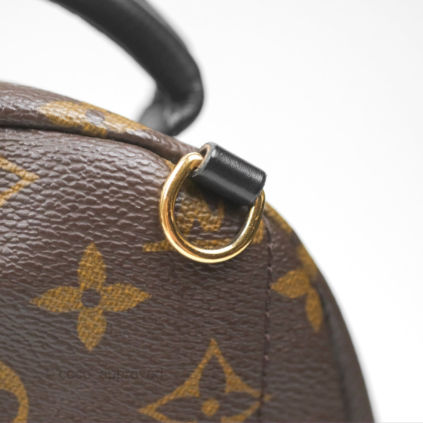 Louis Vuitton Mini Palm Springs Backpack⁣ Monogram