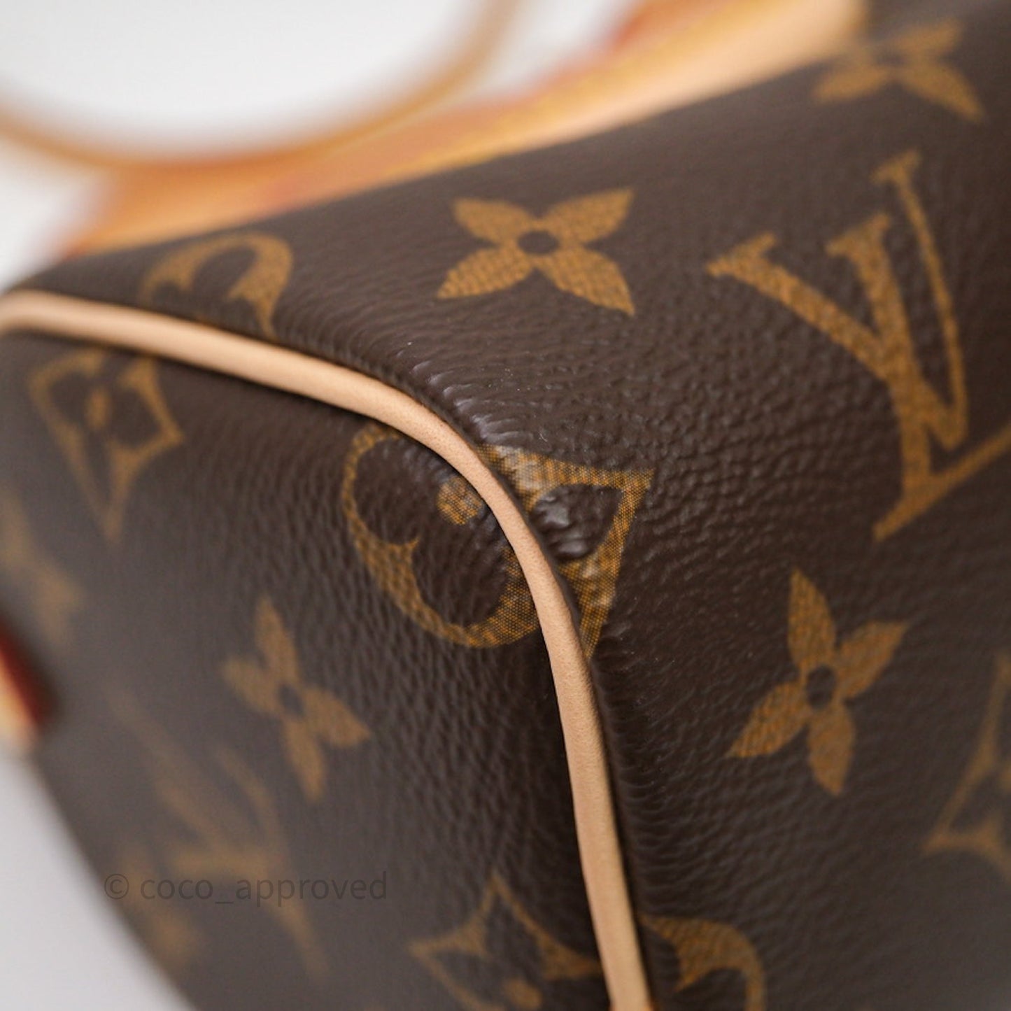 Louis Vuitton Nano Speedy Monogram Canvas
