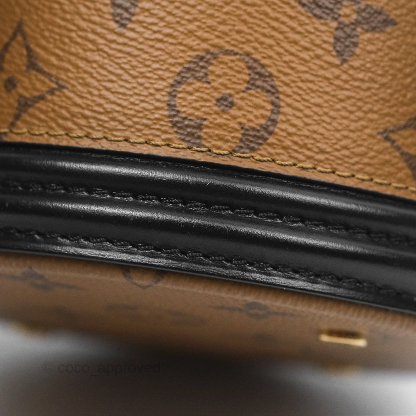 Louis Vuitton Monogram Canvas Reverse Cannes Bag