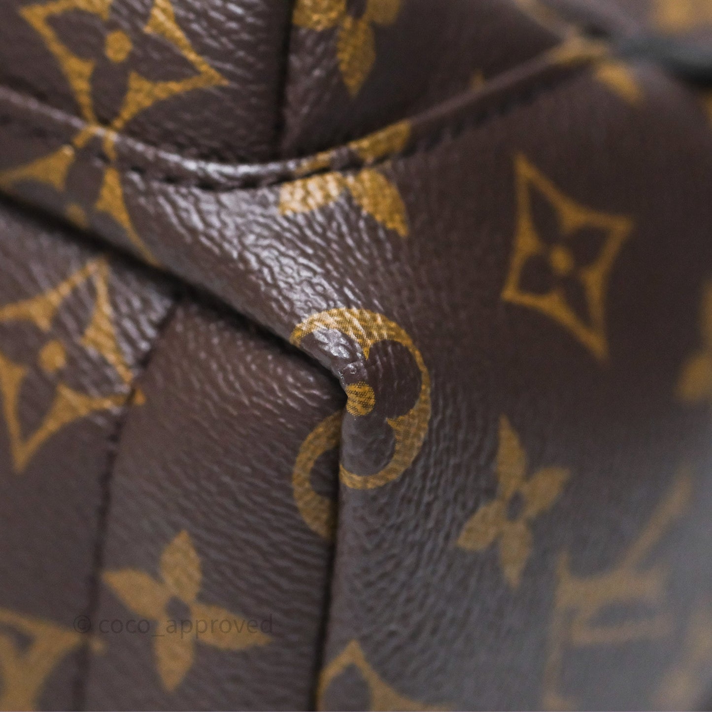 Louis Vuitton Mini Palm Springs Backpack⁣ Monogram
