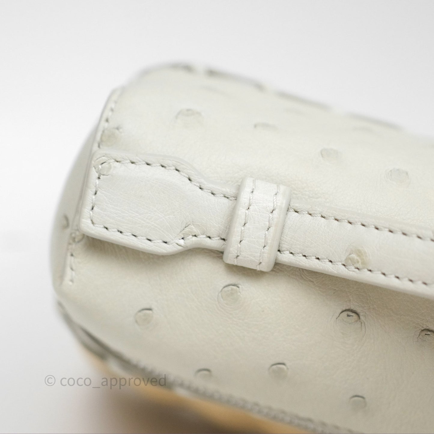 Loro Piana Extra Pocket L19 Light Blue Ostrich Silver Hardware