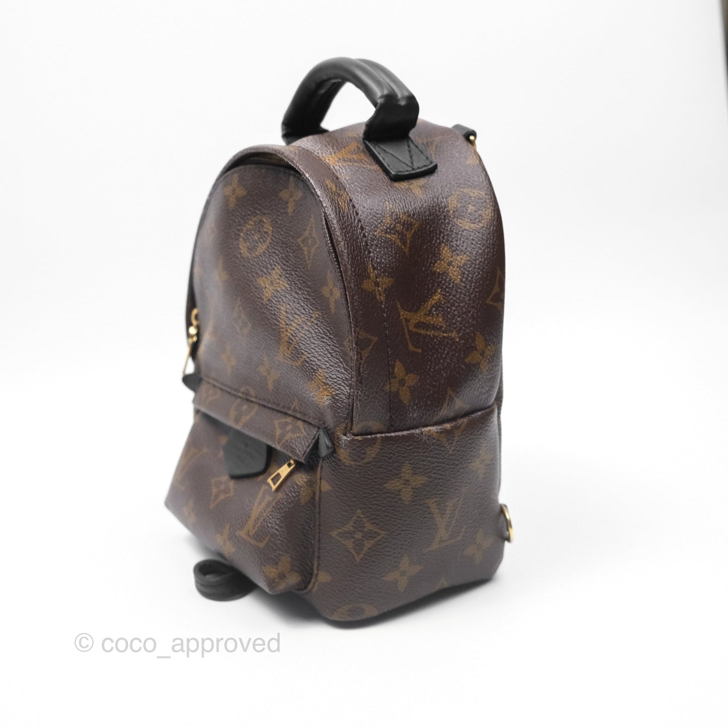Louis Vuitton Monogram Mini Palm Springs Backpack⁣