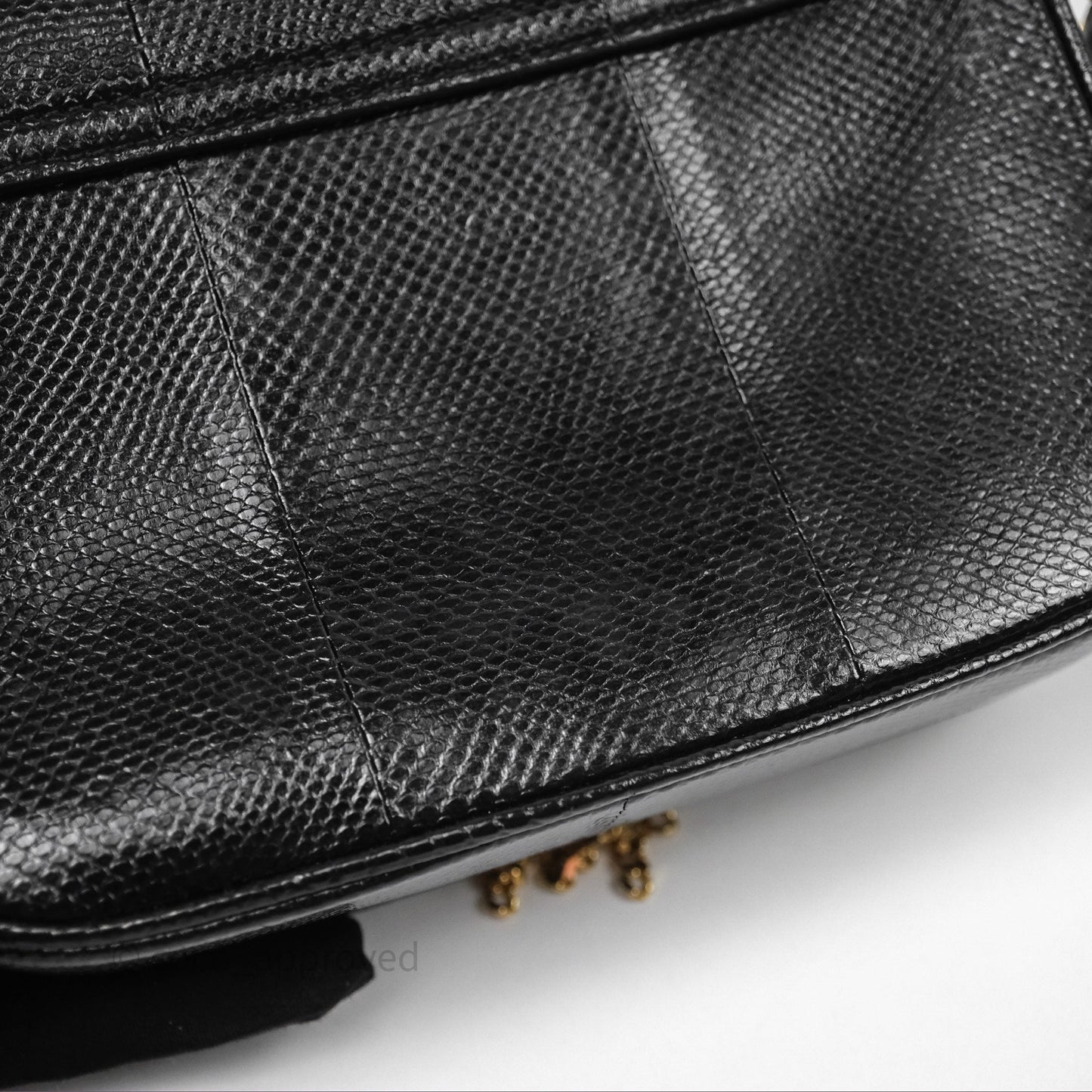 Celine Lizard Small Pampille C Bag Black Gold Hardware