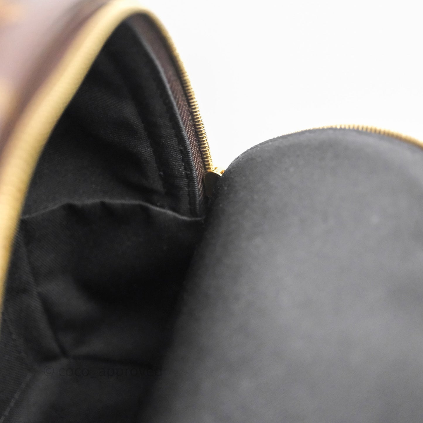 Louis Vuitton Mini Palm Springs Backpack⁣ Monogram