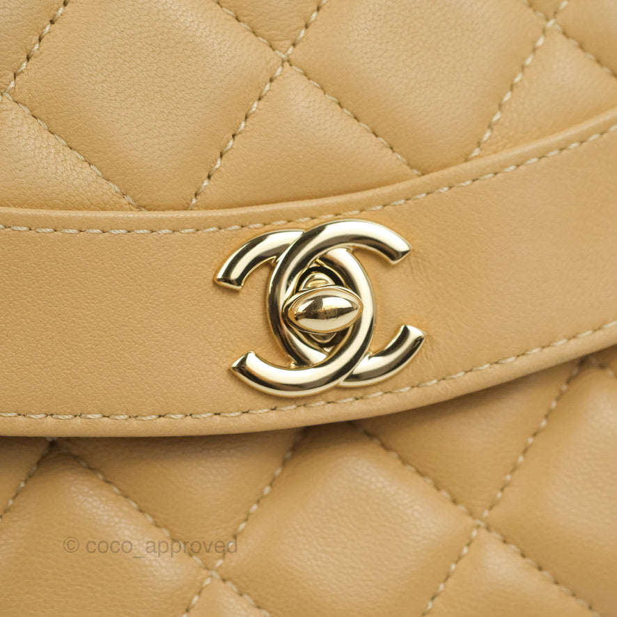 Chanel Calfskin Coco Vintage Camera Case Beige Gold Hardware