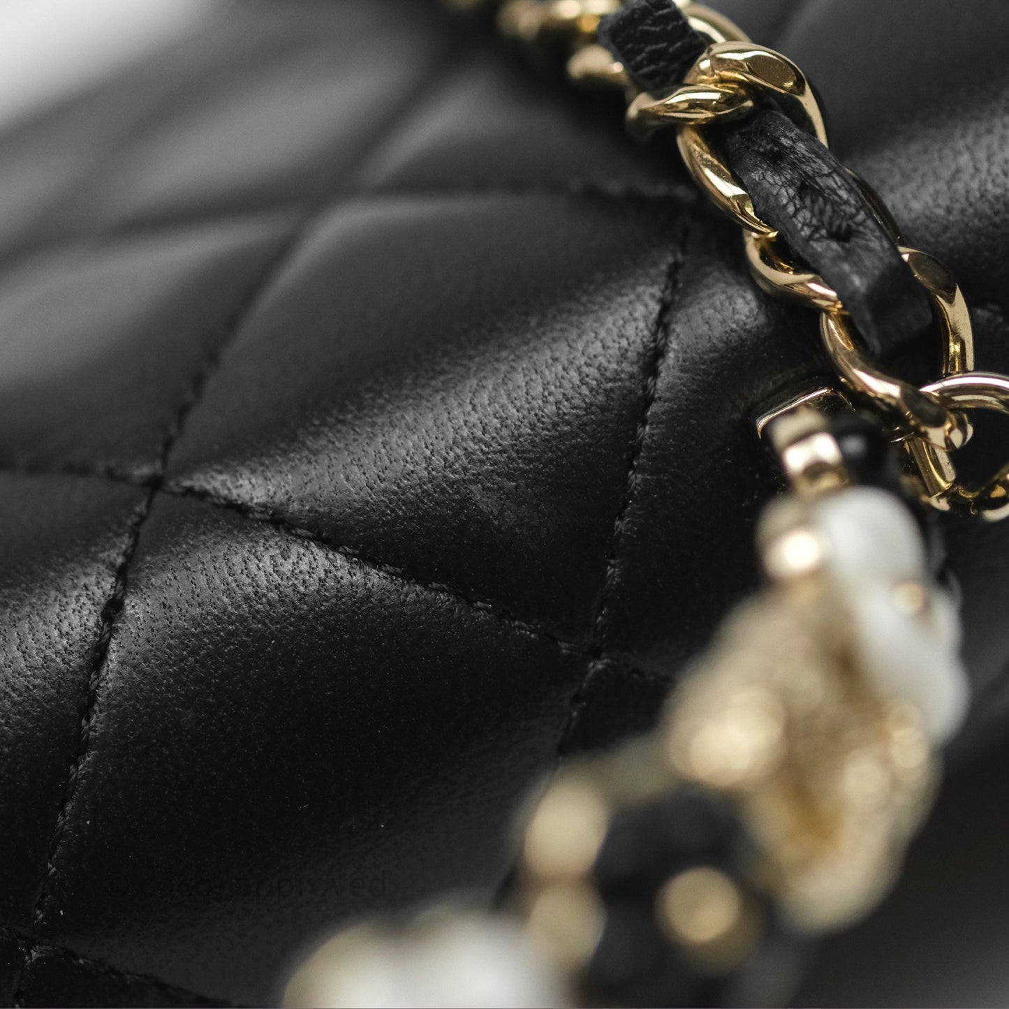 Chanel Camellia Handle Mini WOC Phone Holder with Chain Black Lambskin 23K