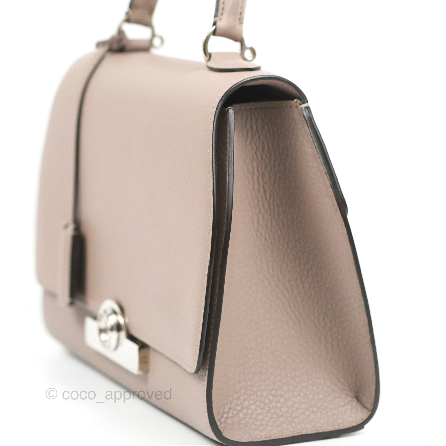 Moynat Réjane PM bag Tourterelle Grained Blush Leather Silver Hardware