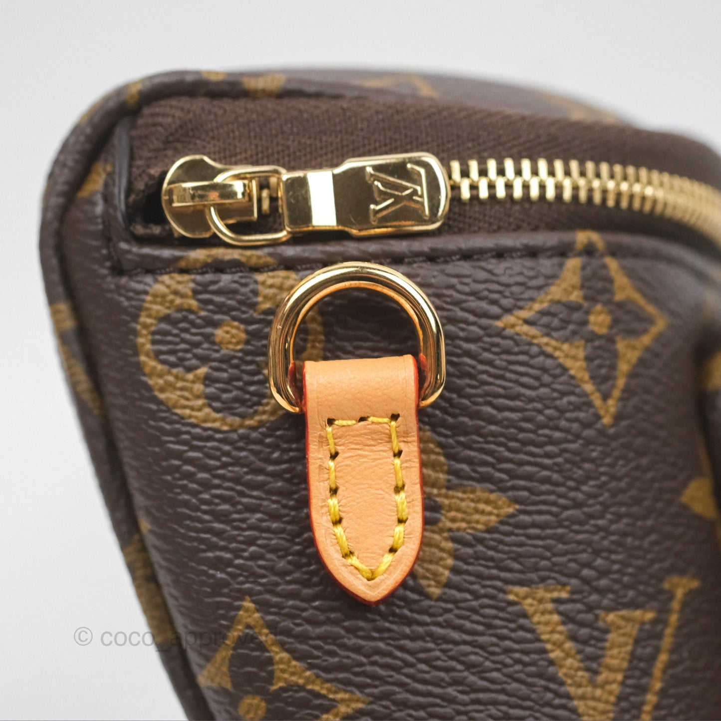Louis Vitton Mini Bumbag in Monogram Canvas
