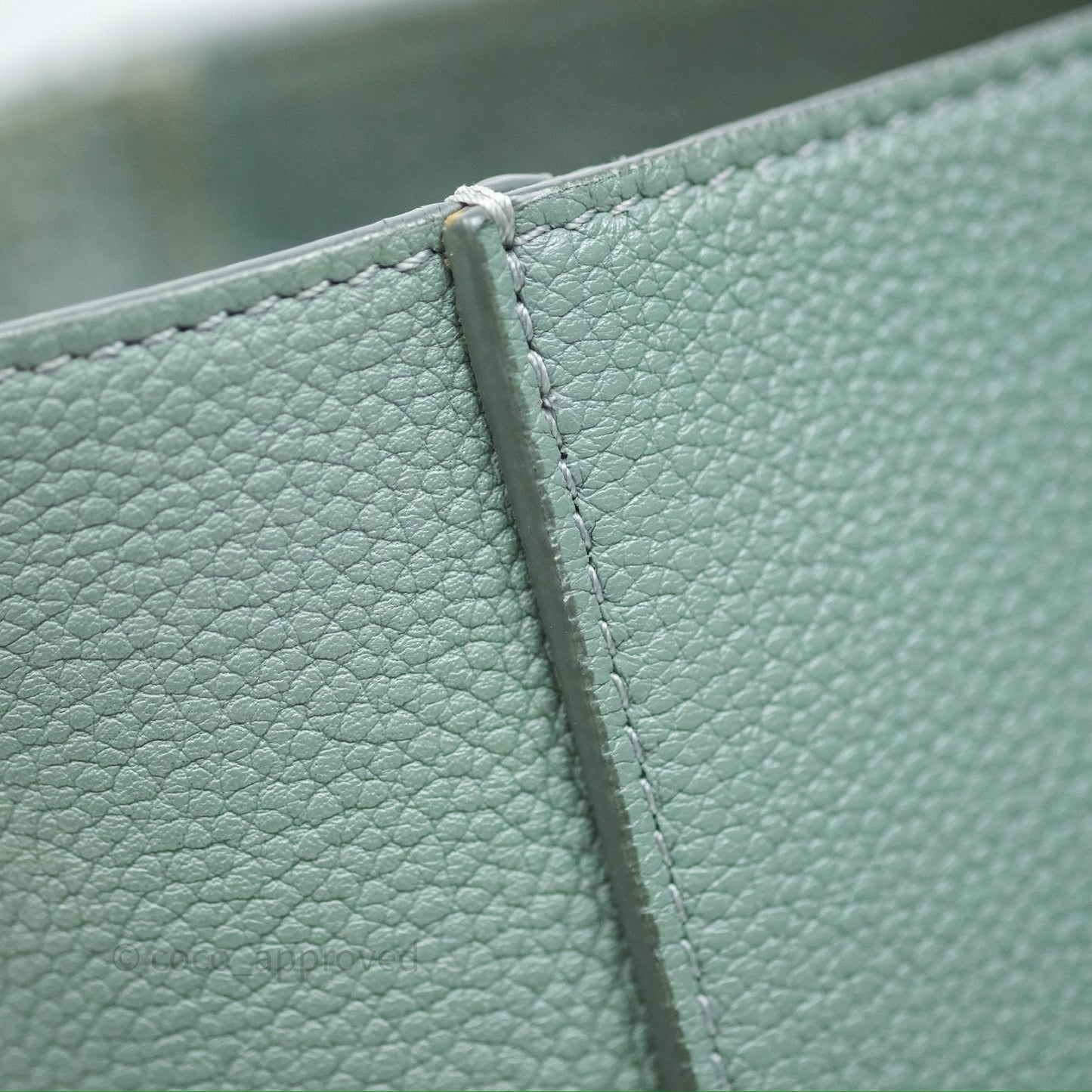 Celine Small Sangle Bucket Bag Light Green Celadon Grained Calfskin Silver Hardware