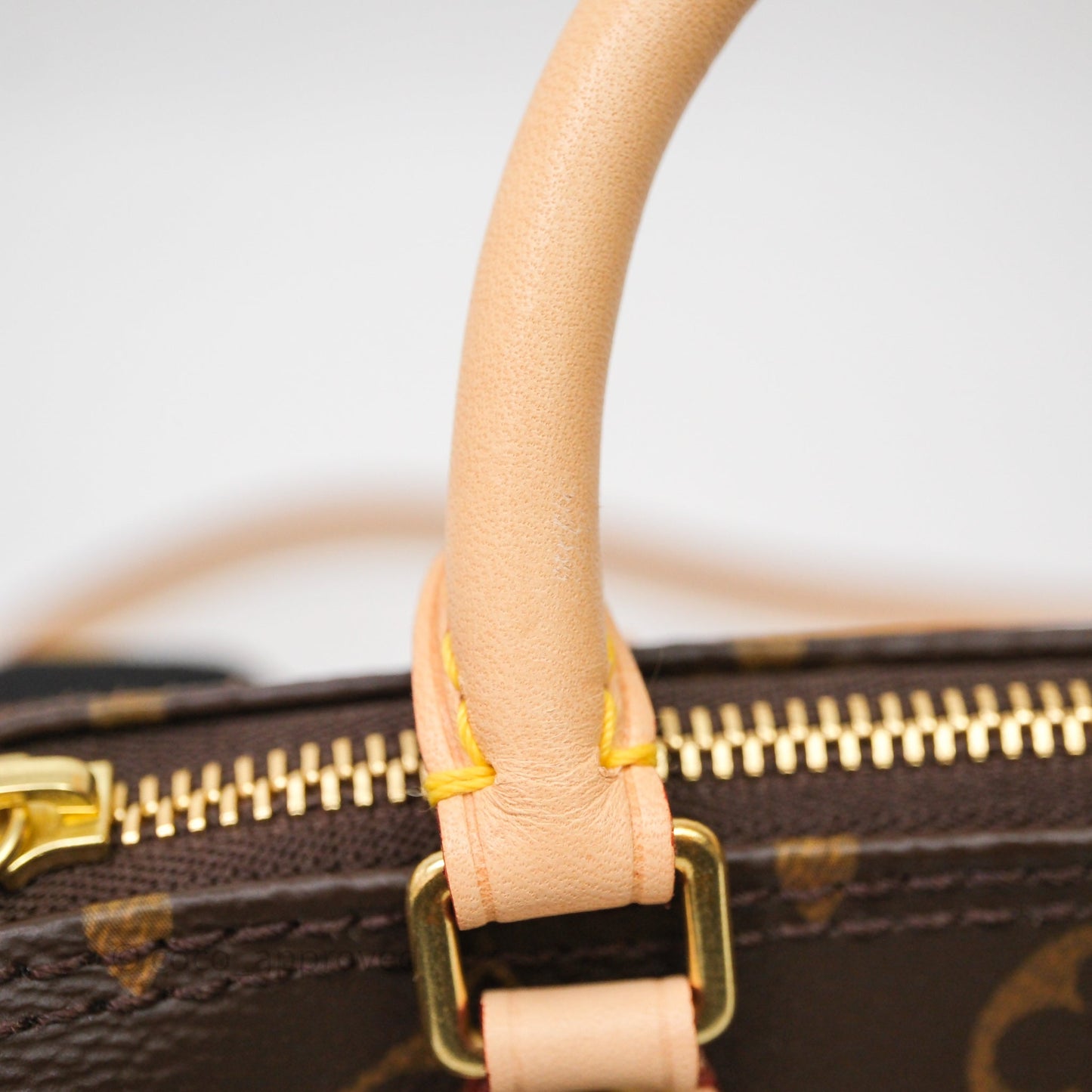 Louis Vuitton Nano Speedy Monogram Canvas