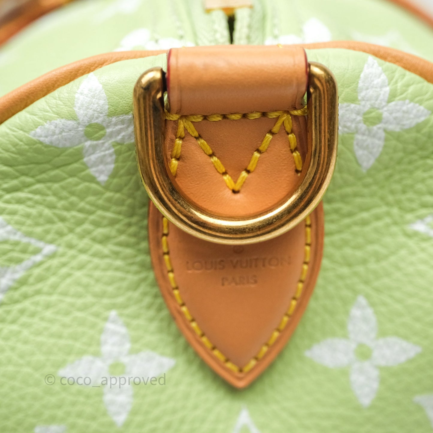 Louis Vuitton Speedy P9 Bandouliere 30 Vert Clair Bag