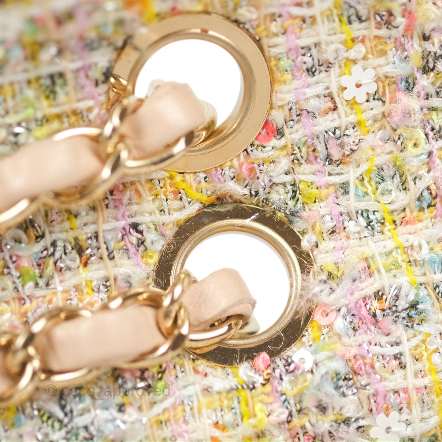 Chanel Reissue 225 Tweed Pastel Garden Party Flap