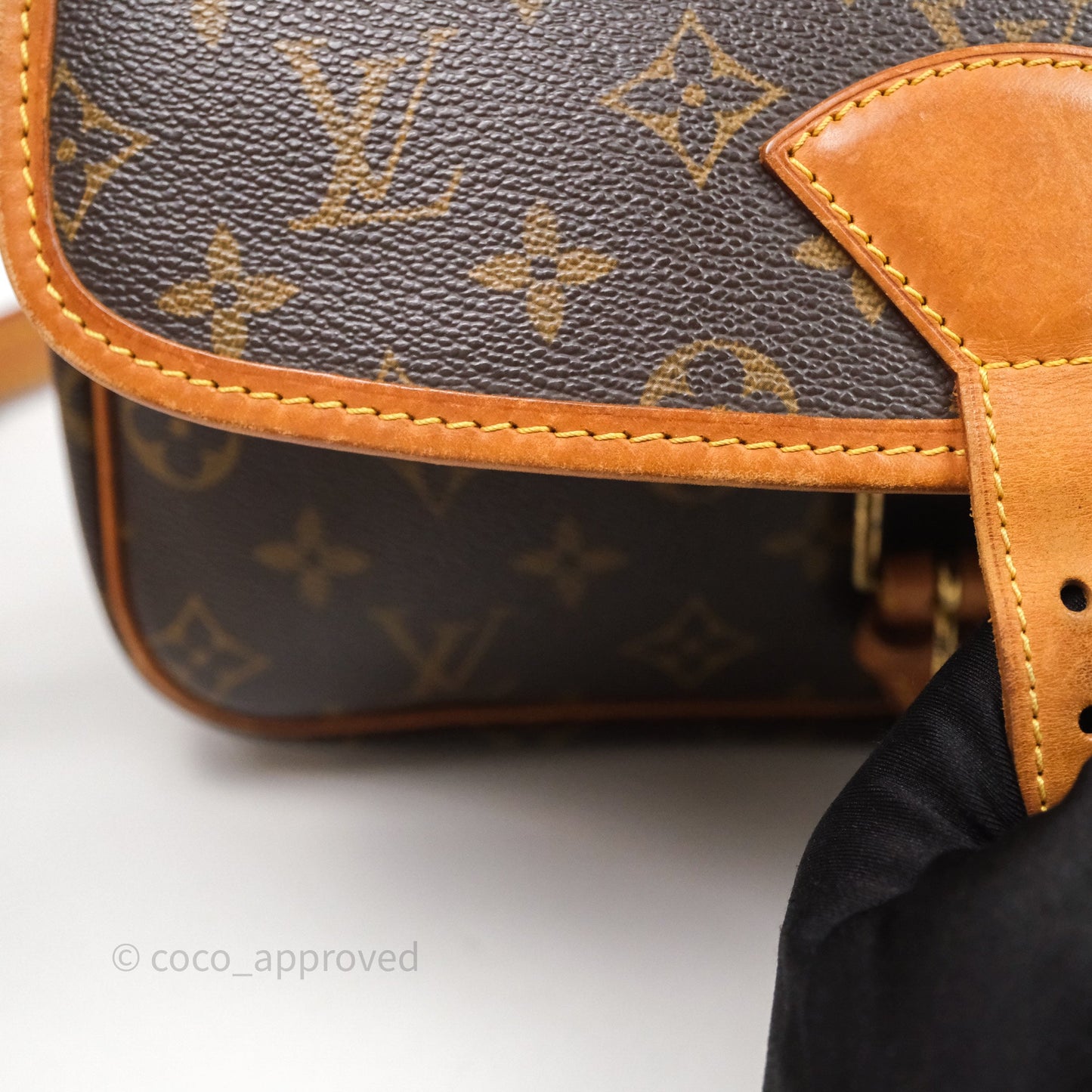 Louis Vuitton Vintage Diane Bag Monogram Canvas