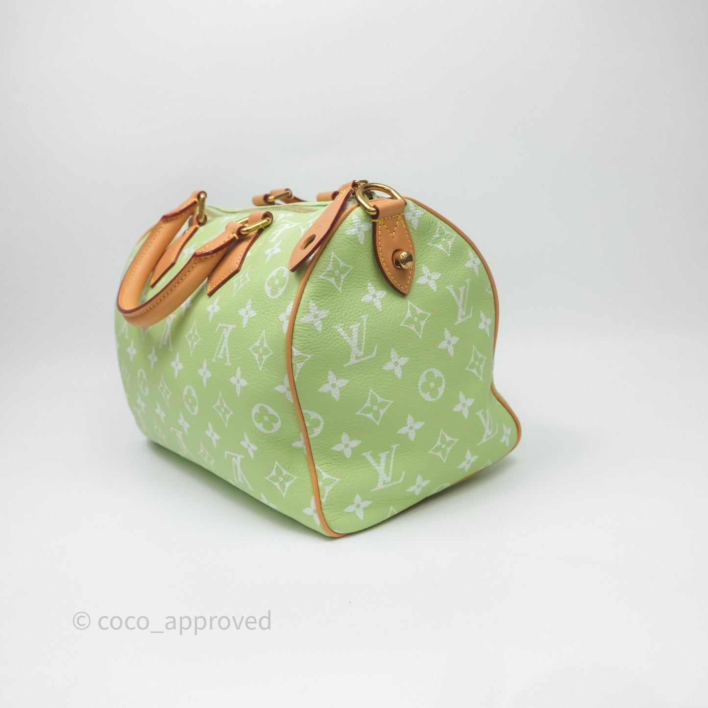 Louis Vuitton Speedy P9 Bandouliere 30 Vert Clair Bag