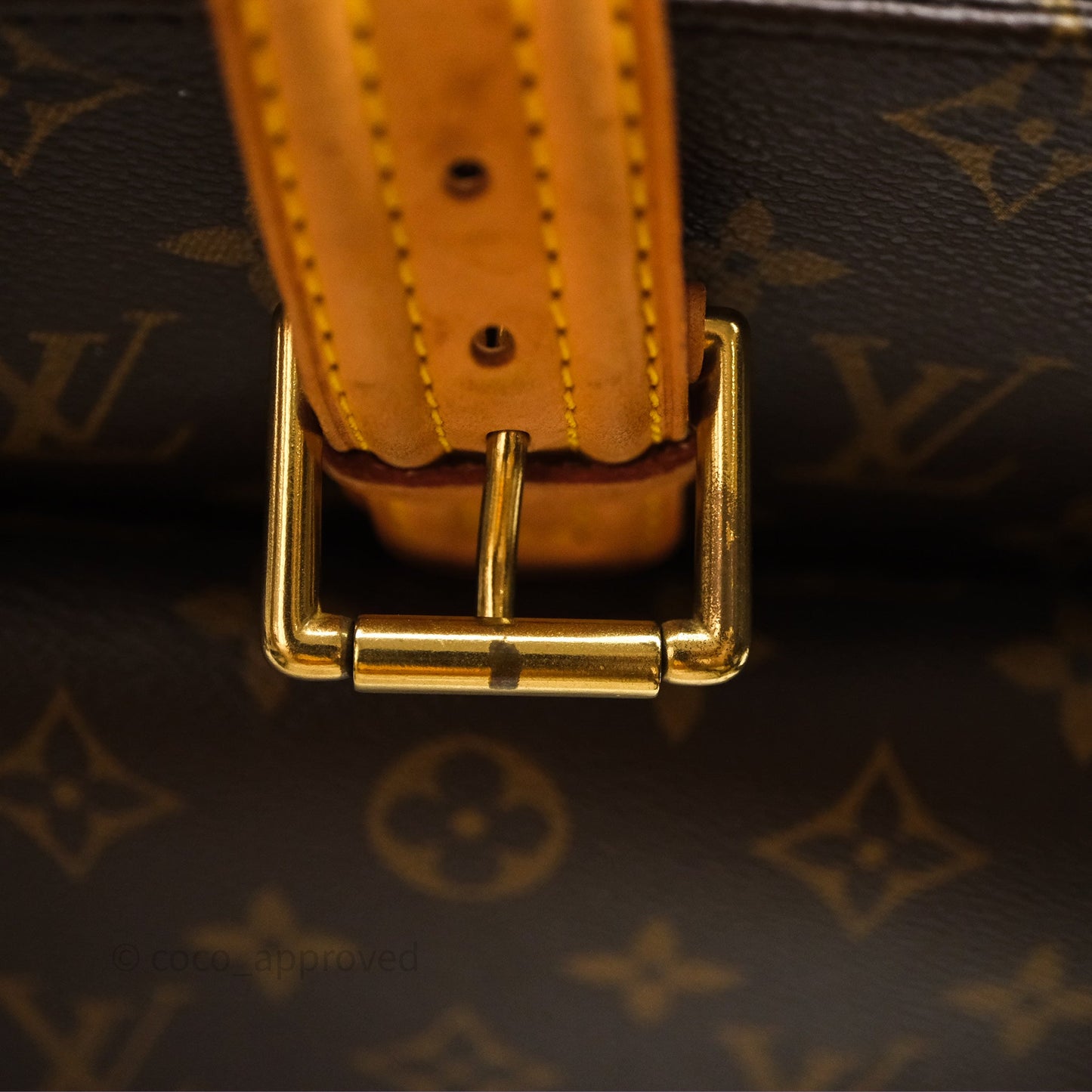 Louis Vuitton Multipli-Cite Tote Monogram Canvas