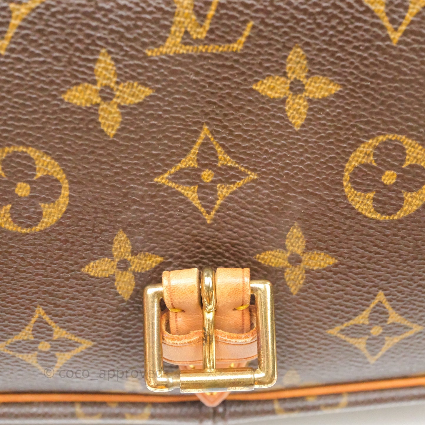 Louis Vuitton Vintage Diane Bag Monogram Canvas