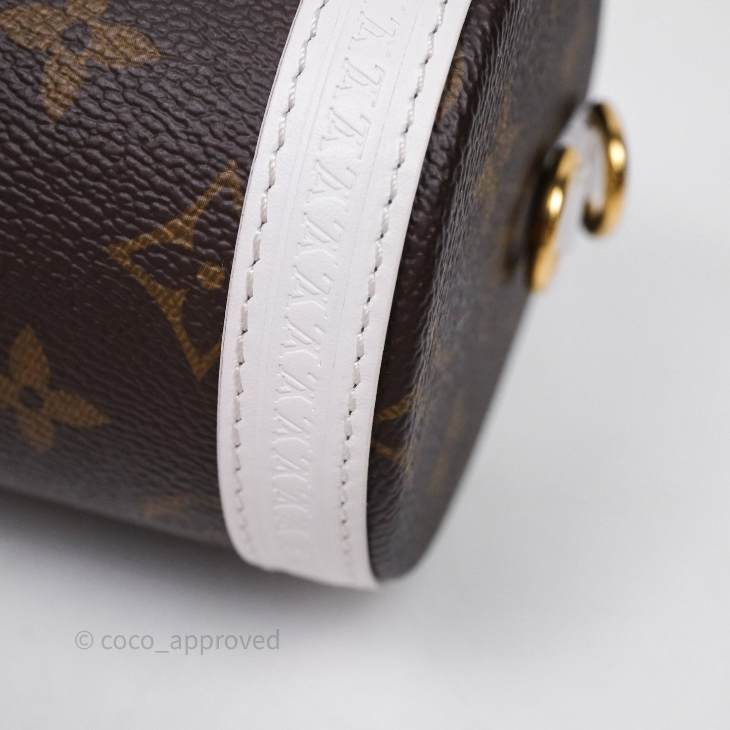 Louis Vuitton Monogram Papillon Trunk Bag