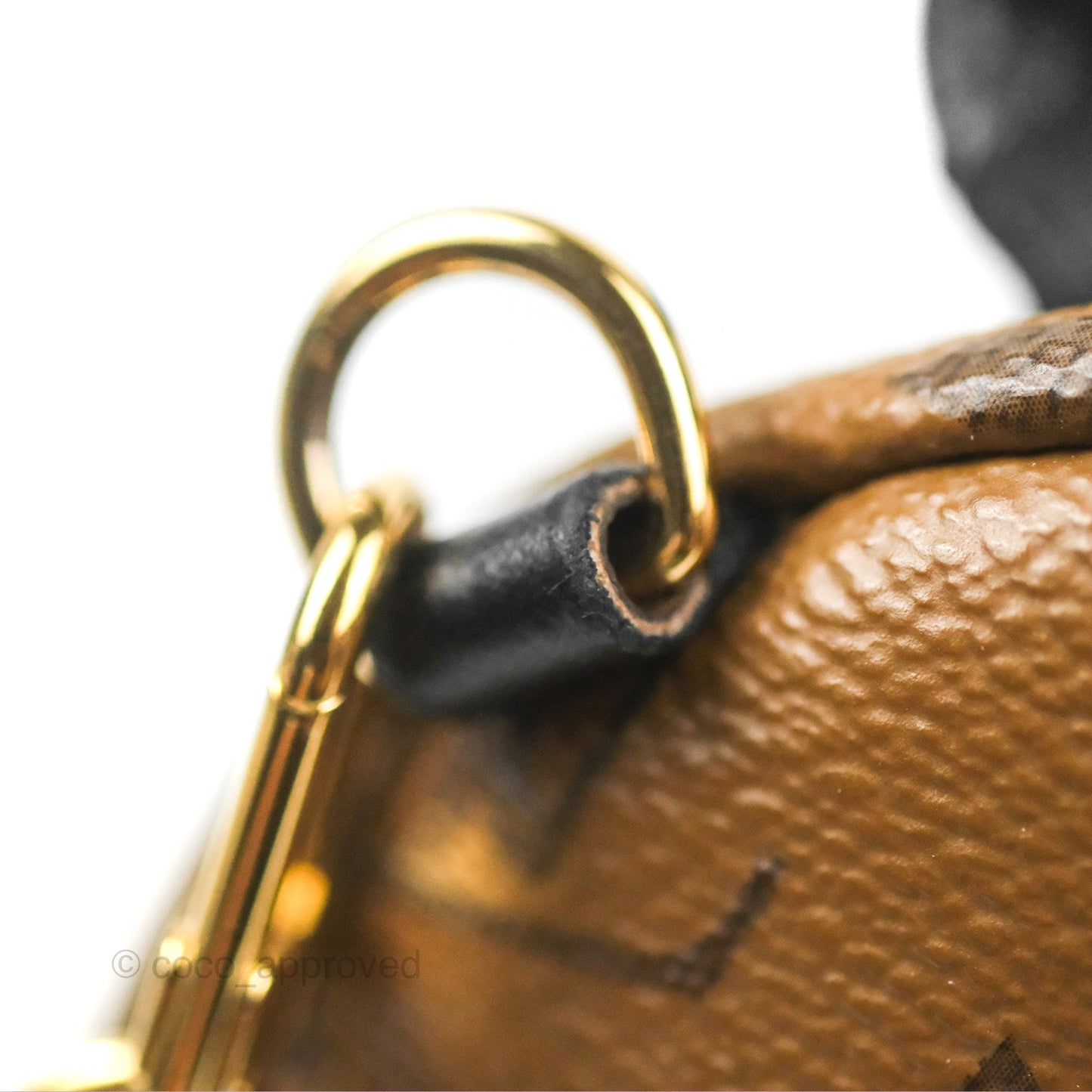 Louis Vuitton Reverse Mini Palm Springs Backpack⁣