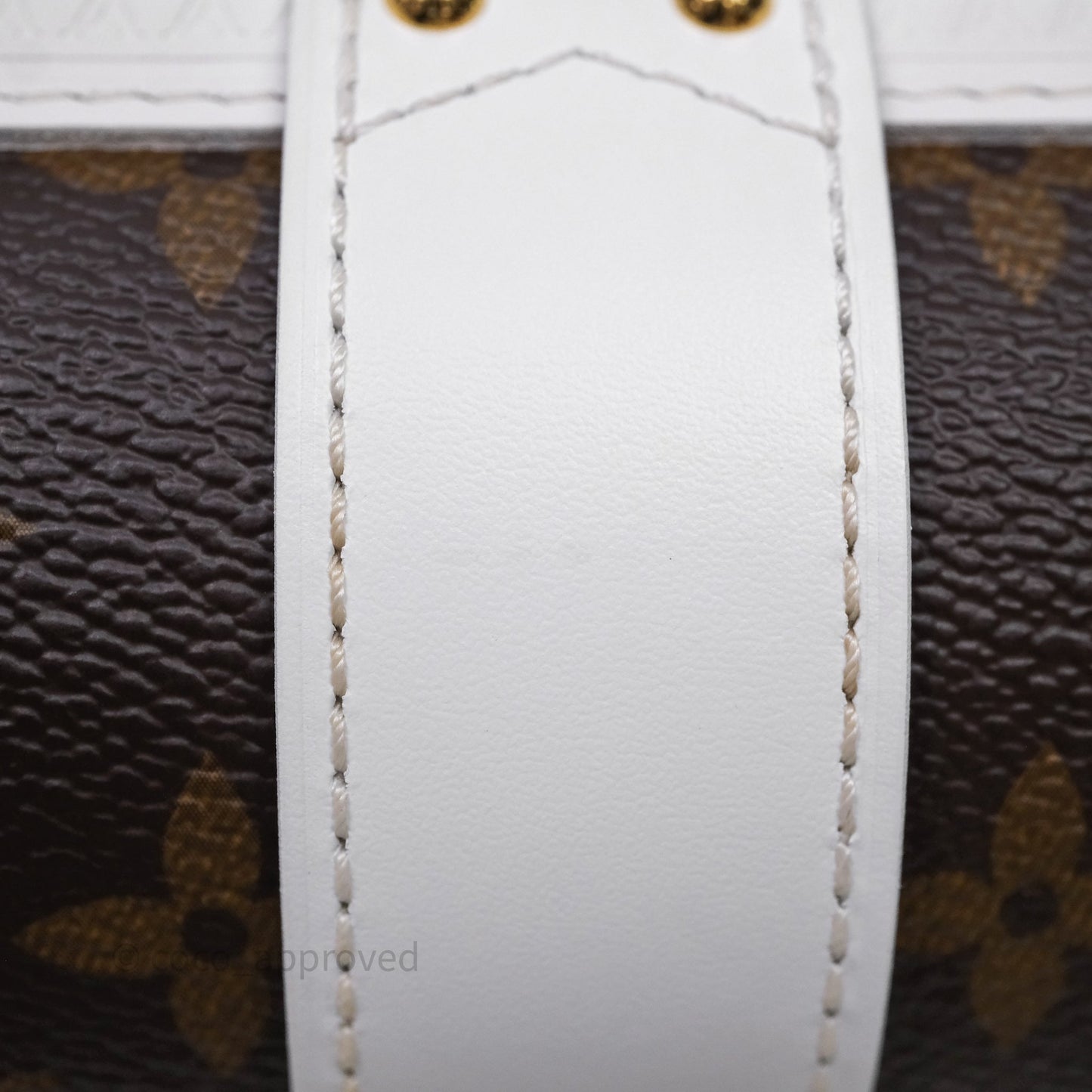 Louis Vuitton Monogram Papillon Trunk Bag