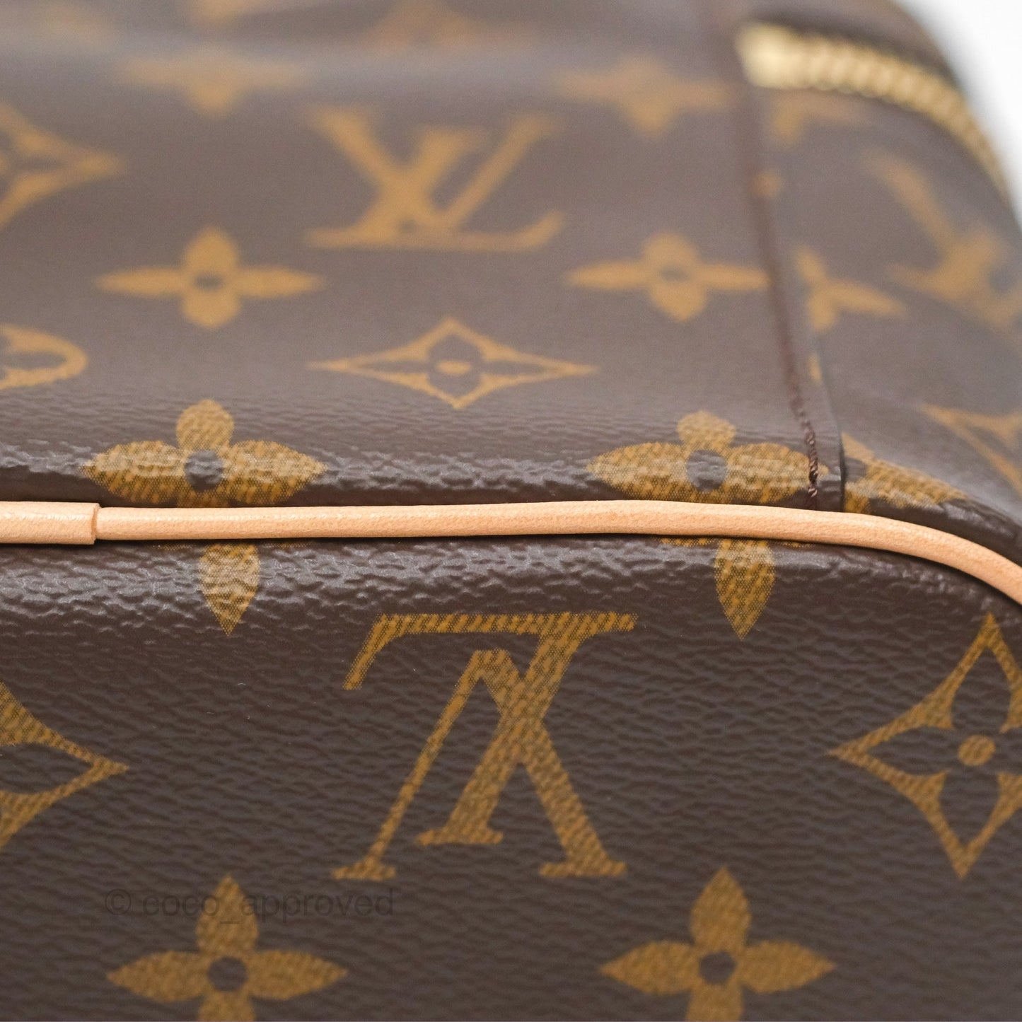 Louis Vuitton Monogram Nice Mini
