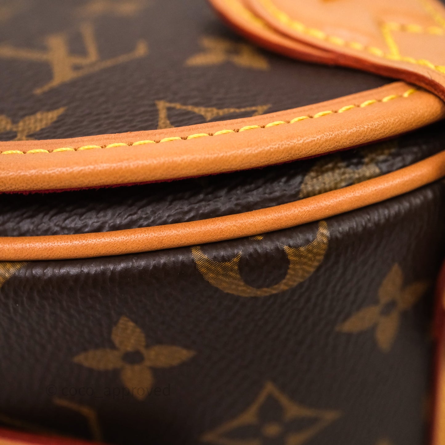 Louis Vuitton Tambourin Monogram Canvas Bag